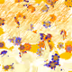 Fragments of an Infinite Field #37