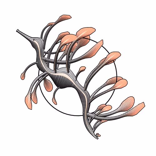 Item #160000787 Media