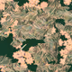 159000891