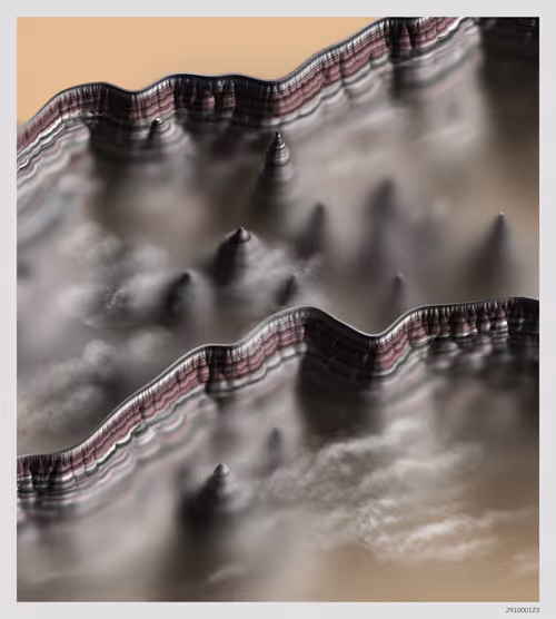 Item #291000123 Media