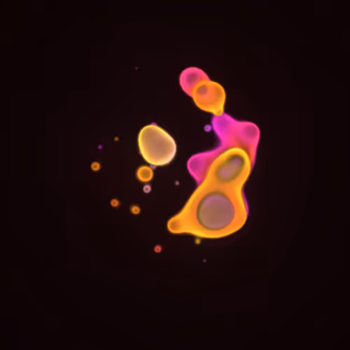 Item #62000036 Media