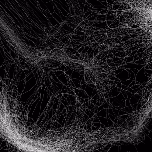 Phototaxis #730