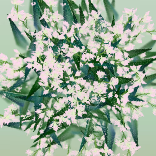 Item #308000298 Media