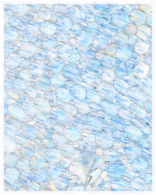 Item #344000012 Media