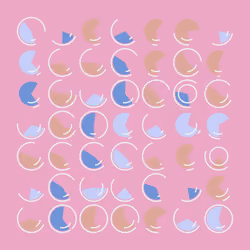 Dynamic Slices #207