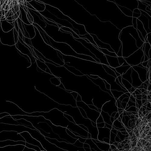 Item #164000172 Media