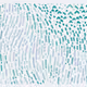 235000296