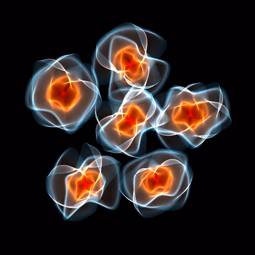 Flowers #1571