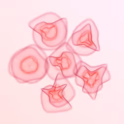 Flowers #3002