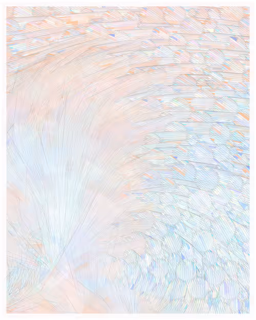 Item #344000261 Media