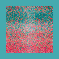 Transitions #505