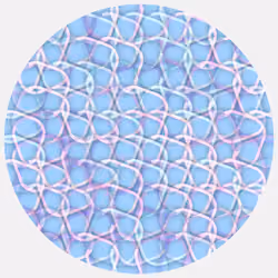Ouroboros #934