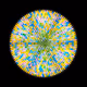 117001516