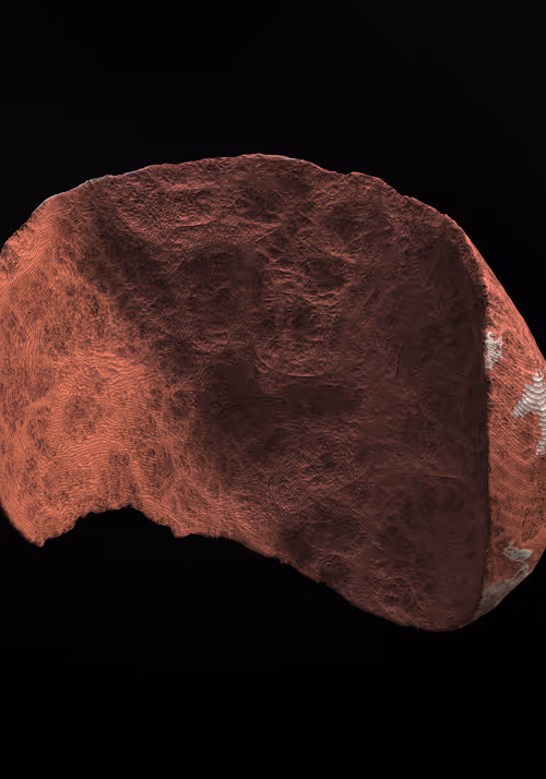 Item #327000009 Media