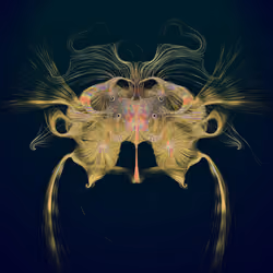 Latent Spirits #279