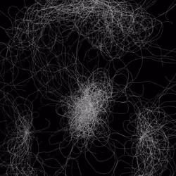 Phototaxis #786