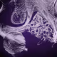 The Inner World #236