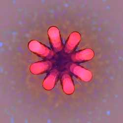 Cosmic Reef #1003