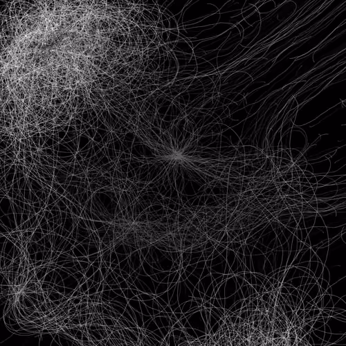 Phototaxis #661