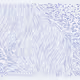235000042