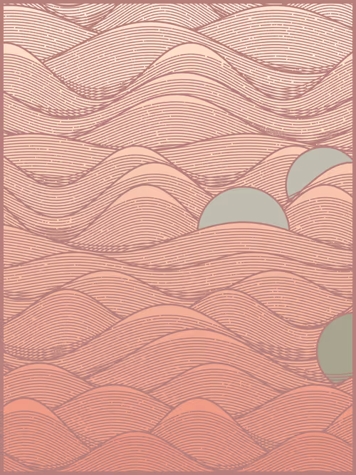 Item #226000042 Media