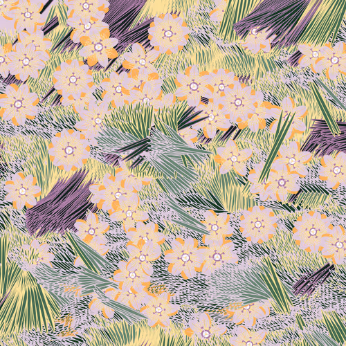 Fragments Of An Infinite Field By Monica Rizzolli