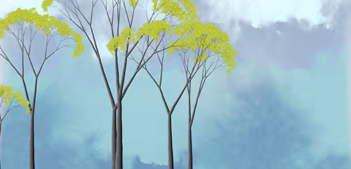 Item #254000042 Media