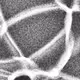 320000267