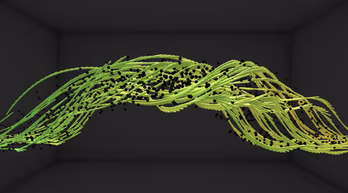 Item #202000043 Media