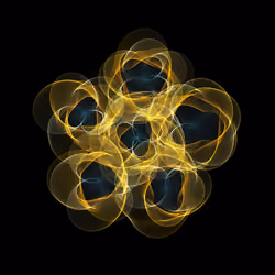 Flowers #5908