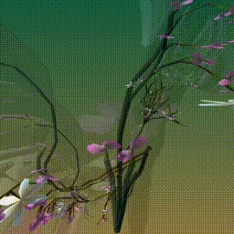 Item #279000005 Media