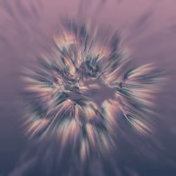 Messengers #347