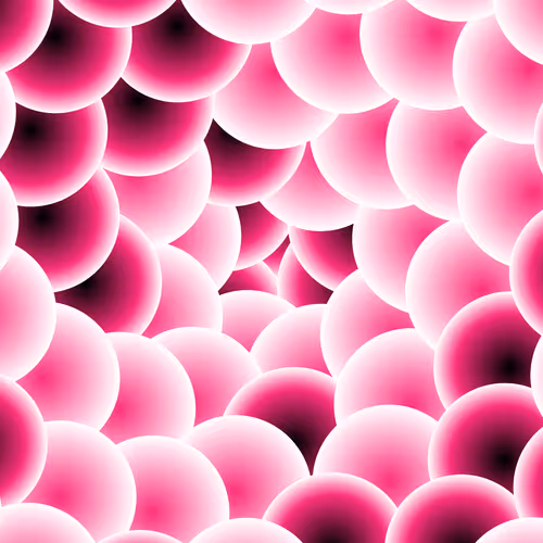 Item #260000005 Media