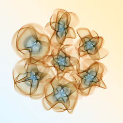 Flowers #732