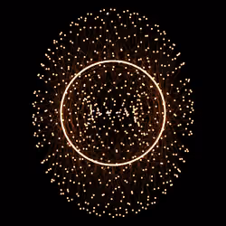 Nucleus #205