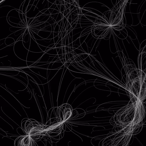 Phototaxis #503