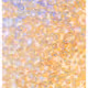 344000161