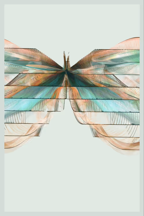 Item #361000211 Media