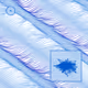 142000912