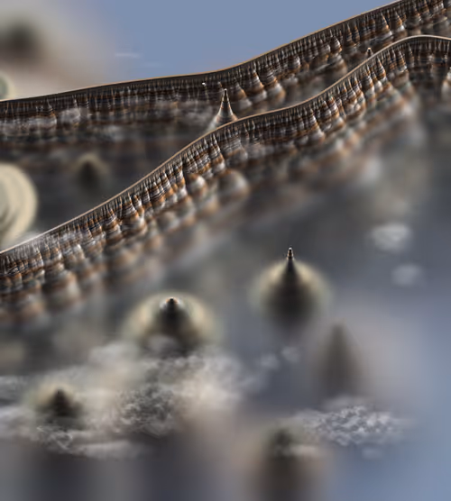 Item #291000174 Media