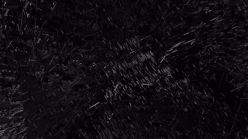 Item #169000444 Media