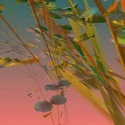 Item #279000049 Media