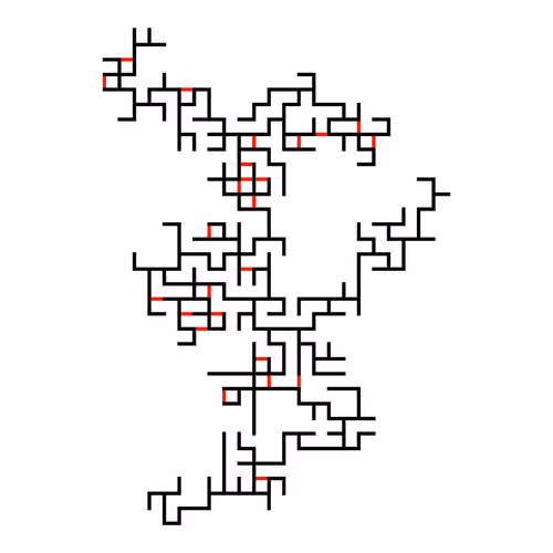 Invasion Percolation #113