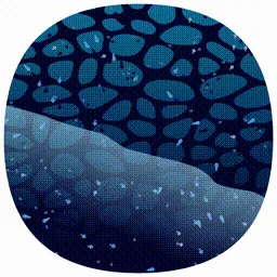 Item #107000188 Media