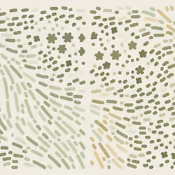 Maps for grief #333