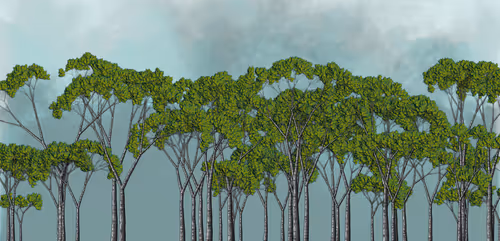 Item #254000109 Media