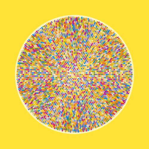Transitions #992