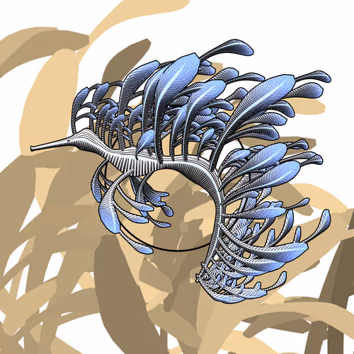 Seadragons #220