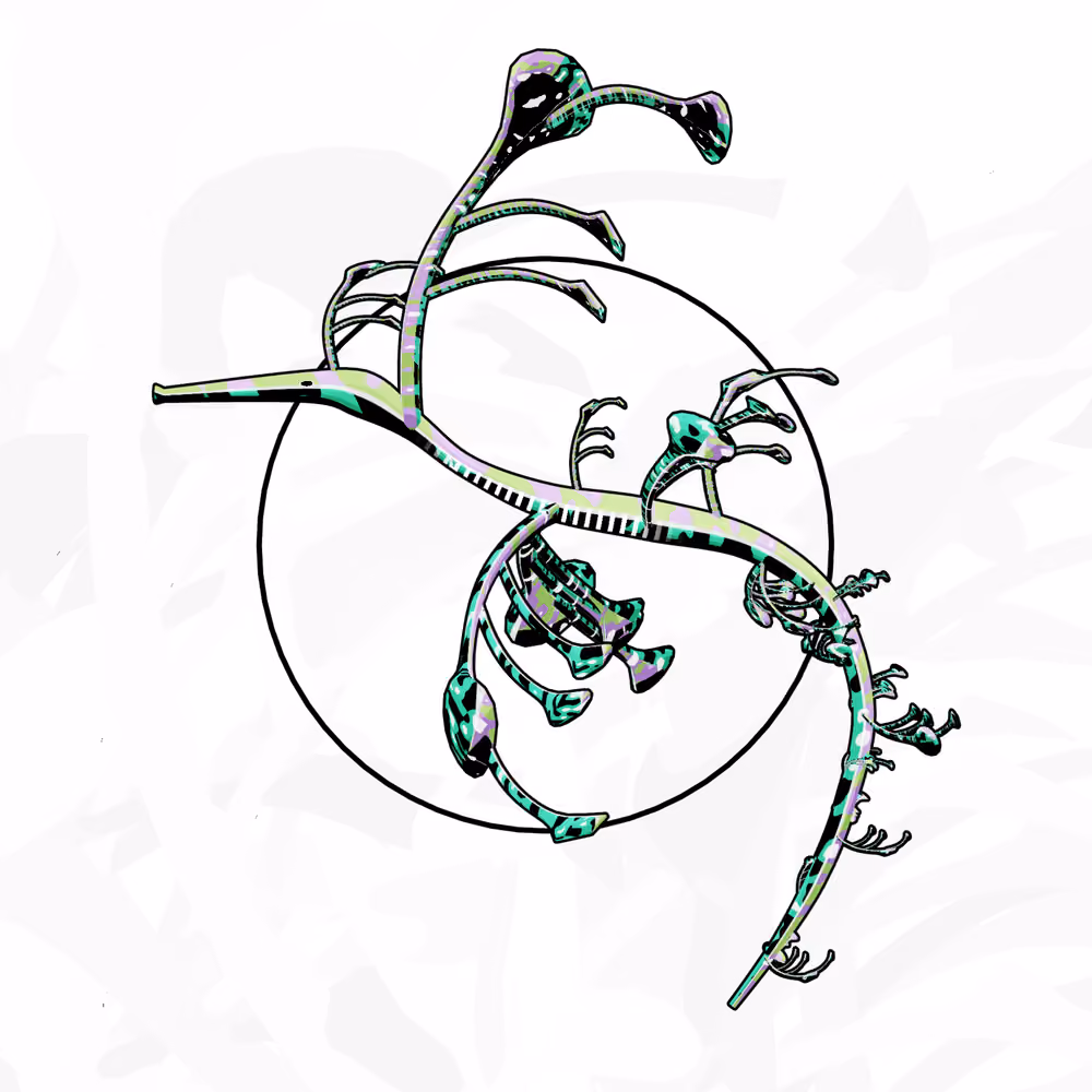 Seadragons #984