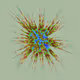 52000016